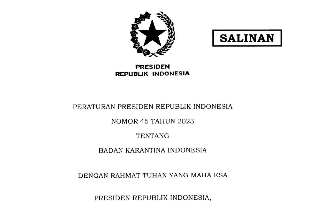 PERATURAN PRESIDEN REPUBLIK INDONESIA NOMOR 45 TAHUN 2023